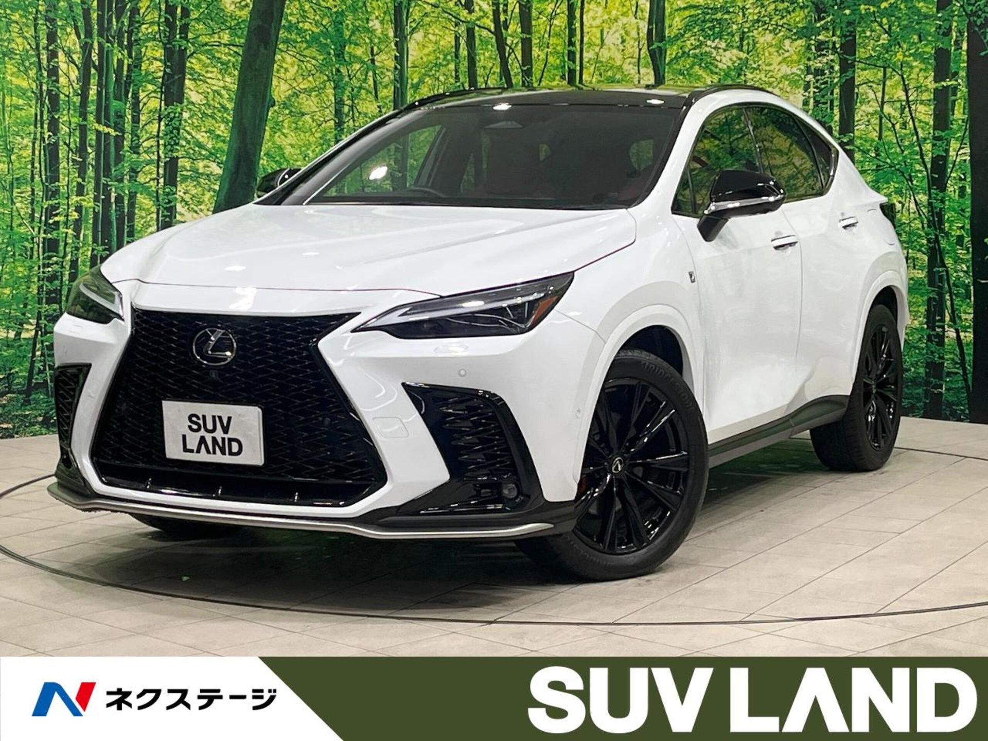 LEXUS NX - View 1