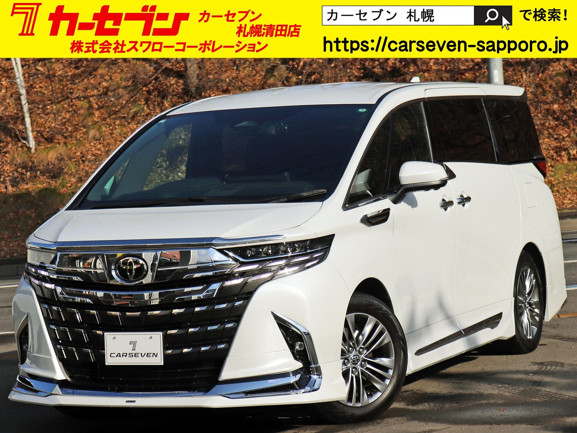TOYOTA ALPHARD - View 1