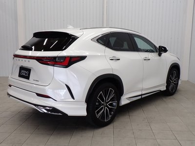 LEXUS NX - 9