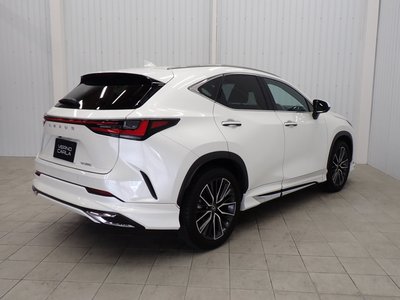 LEXUS NX - 8