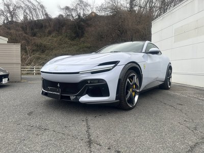 FERRARI PUROSANGUE - 1