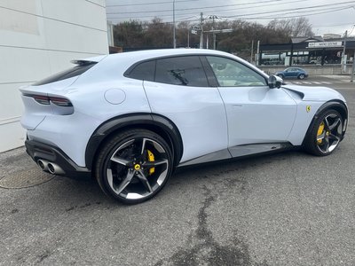 FERRARI PUROSANGUE - 6