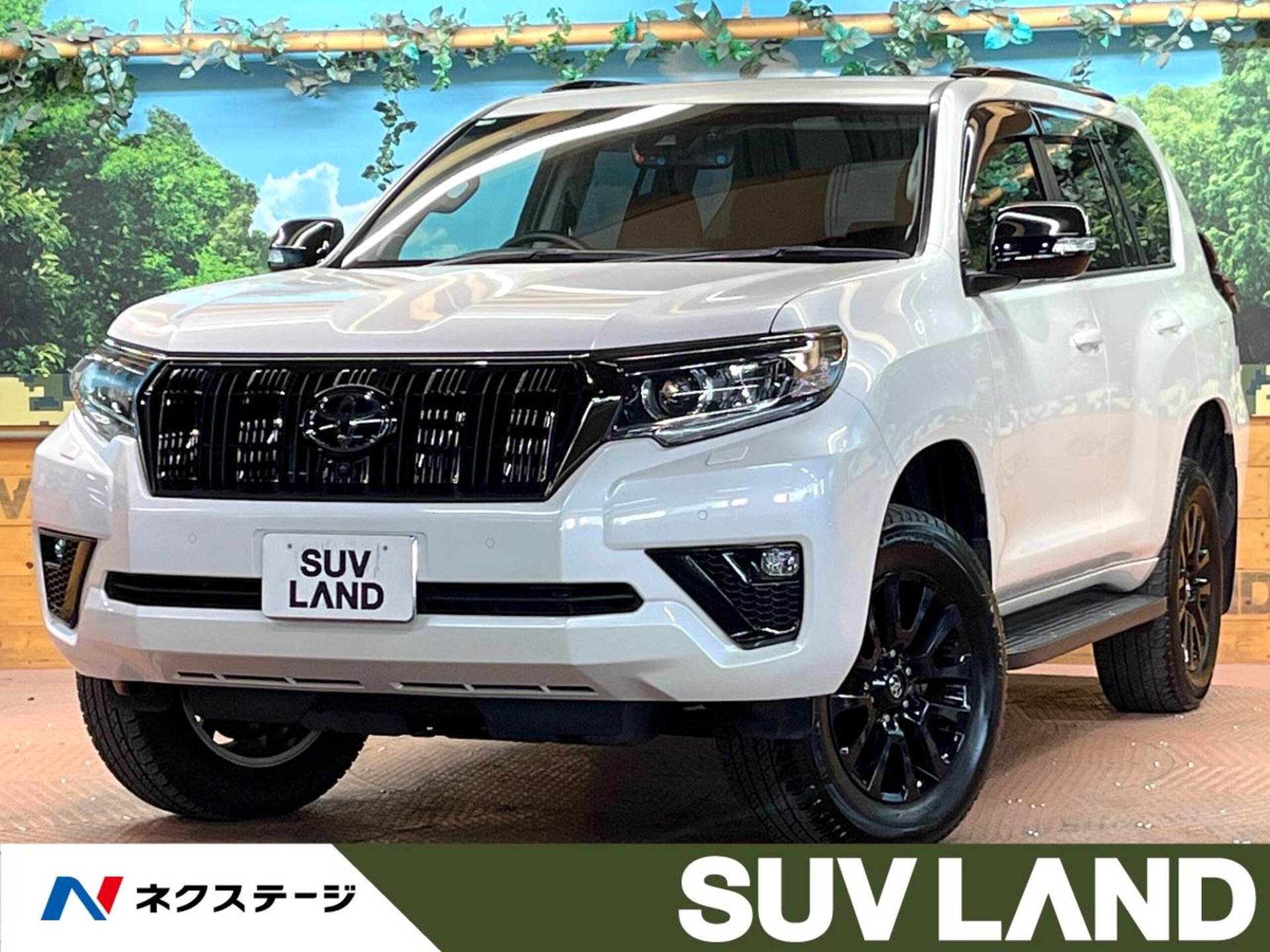 TOYOTA LAND CRUISER PRADO - View 1