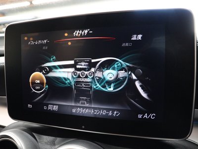 2017 Mercedes-BENZ C-CLASS AMG 缩略图 48