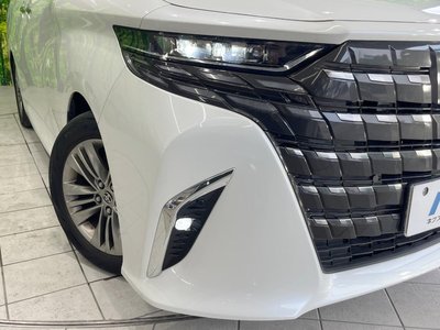2025 TOYOTA ALPHARD — миниатюра 13