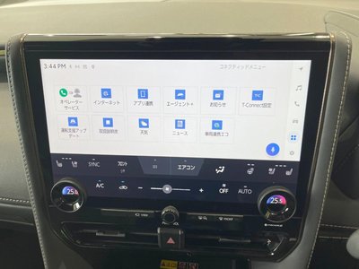 2025 TOYOTA ALPHARD — миниатюра 31