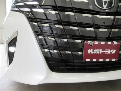2023 Toyota ALPHARD 照片 8