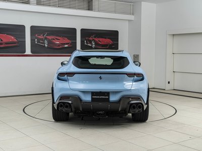 FERRARI PUROSANGUE - 6