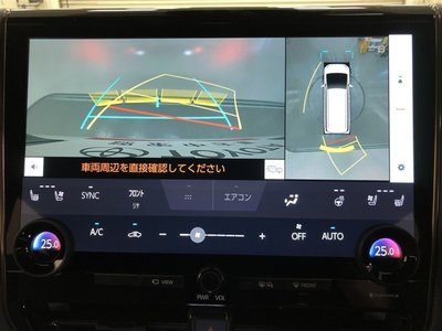 2025 TOYOTA ALPHARD 缩略图 18
