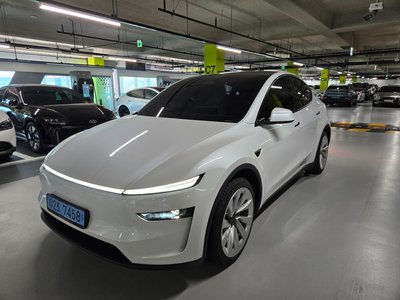 TESLA MODEL Y - 2