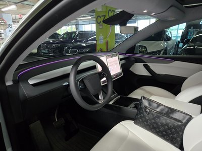 TESLA MODEL Y - 7
