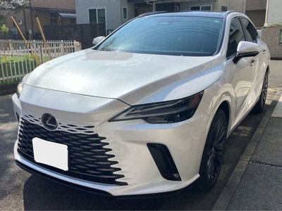 LEXUS RX - 1