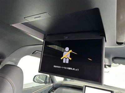 2024 Toyota ALPHARD 缩略图 29