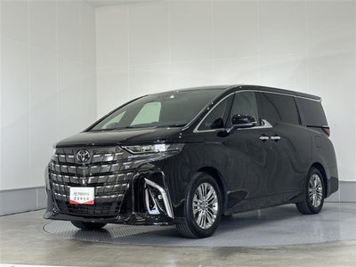 2024 Toyota ALPHARD 缩略图 36