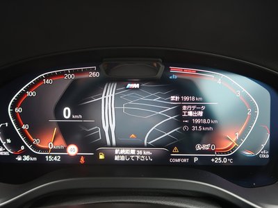 2024 BMW X4 — миниатюра 25