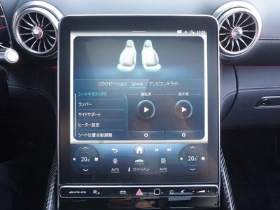 2024 Mercedes-BENZ GT AMG — миниатюра 66