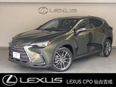 LEXUS NX - 1