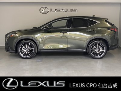 LEXUS NX - 6