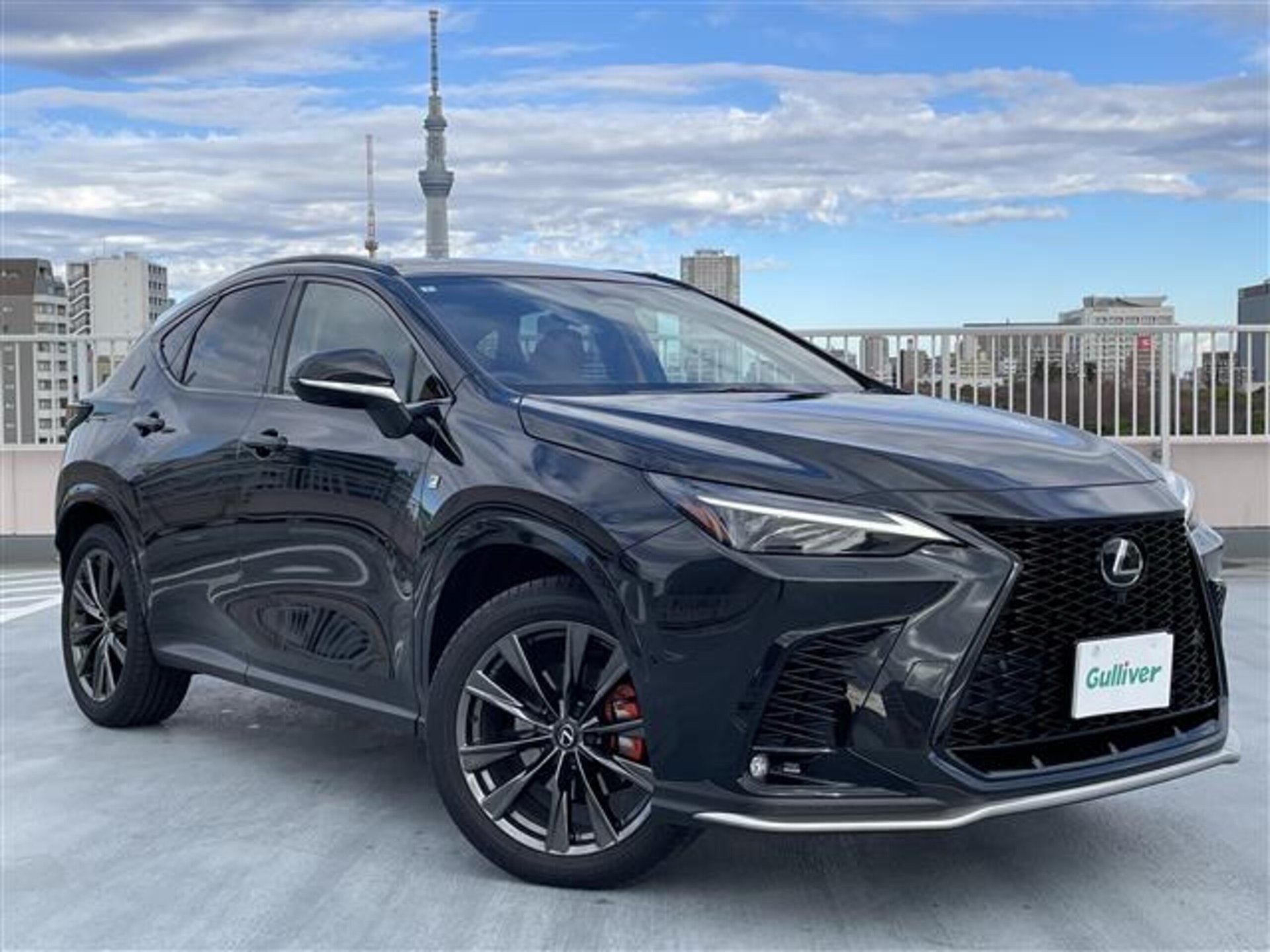 LEXUS NX - View 1