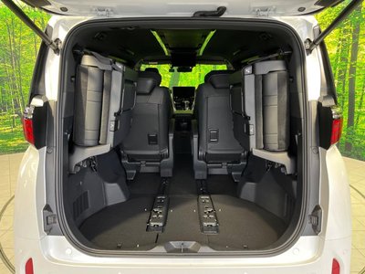 2024 Toyota ALPHARD 缩略图 11
