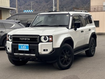 TOYOTA LAND CRUISER 250 - 8