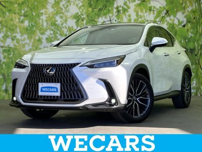 LEXUS NX - 1