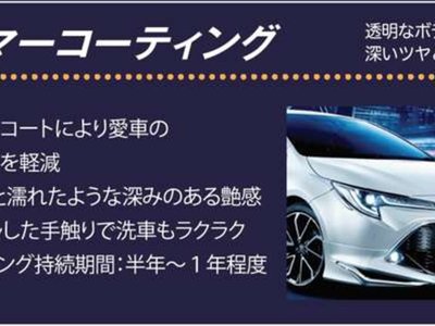 2024 Toyota LAND CRUISER 250 缩略图 72