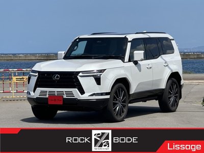 2025 LEXUS GX 照片 1