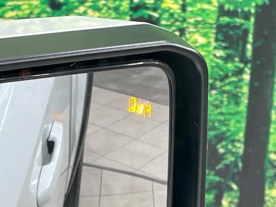 TOYOTA LAND CRUISER 250 - 6