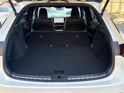 2023 Lexus RX 缩略图 19
