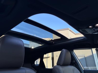 2023 Lexus RX 缩略图 39