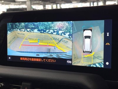 TOYOTA LAND CRUISER 250 - 6