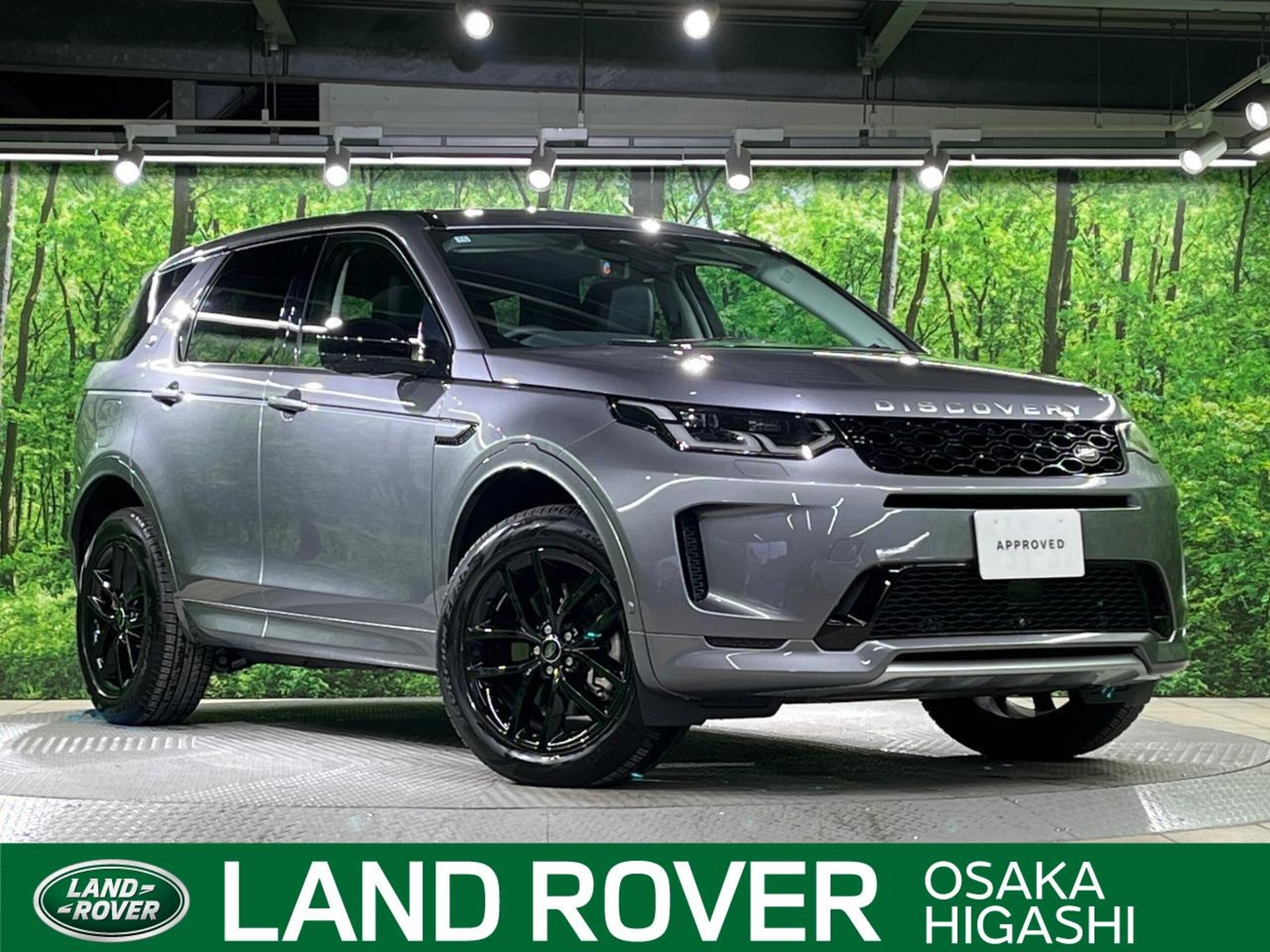 LAND ROVER DISCOVERY SPORT - View 1