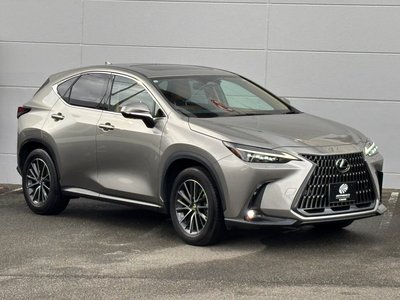 صورة 7 لـ 2023 Lexus NX