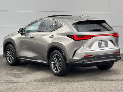 صورة 10 لـ 2023 Lexus NX