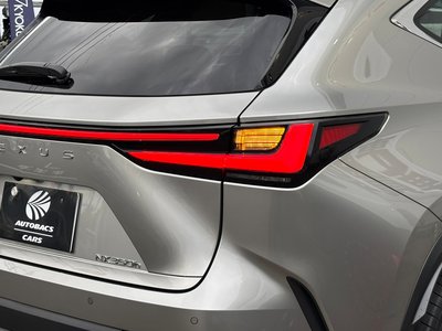 2023 Lexus NX 缩略图 73