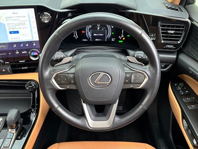 2023 Lexus NX 缩略图 43
