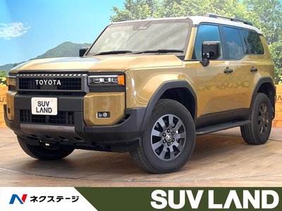 TOYOTA LAND CRUISER 250 - 1