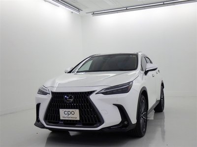 LEXUS NX - 1