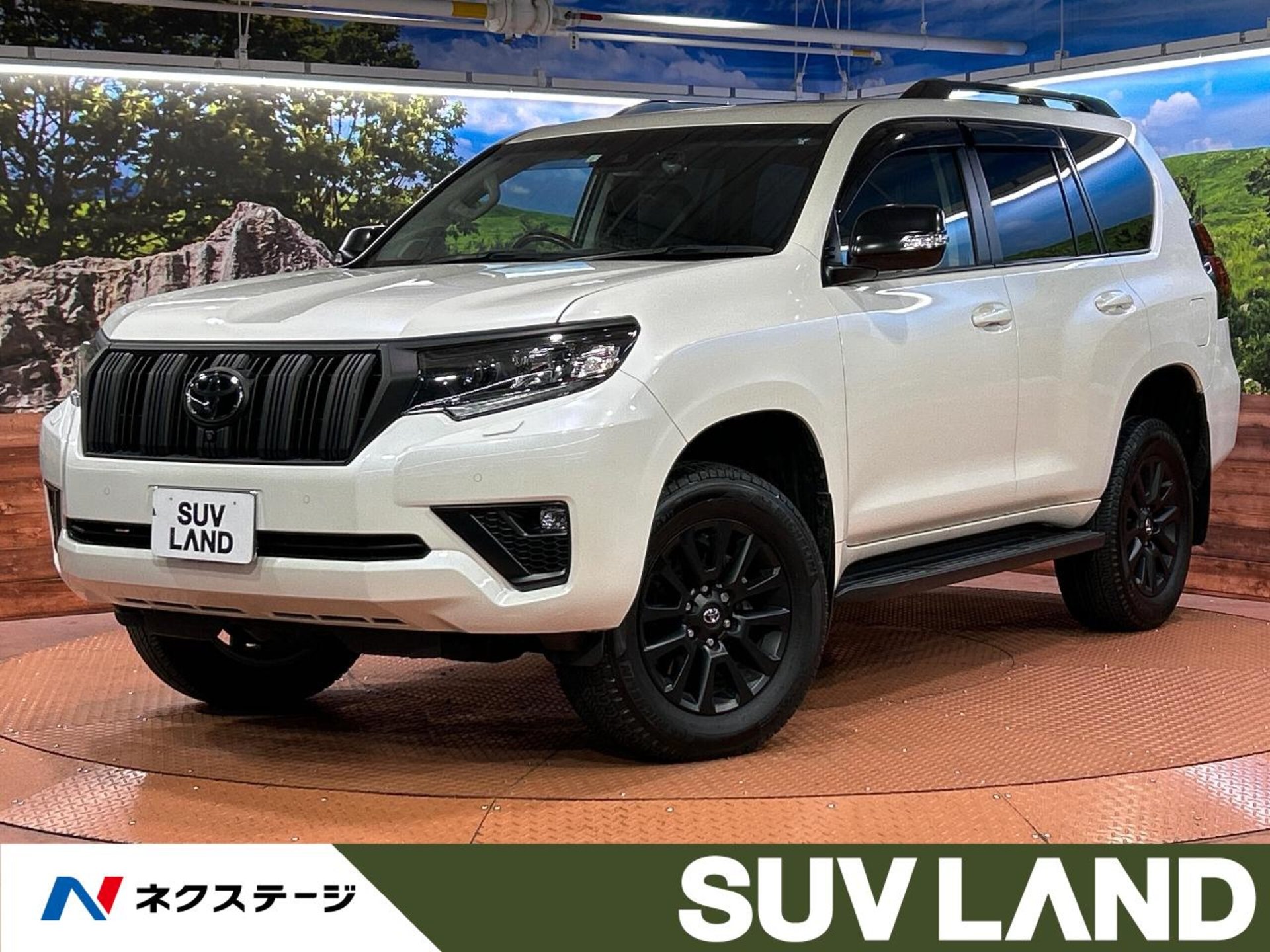 TOYOTA LAND CRUISER PRADO - View 1