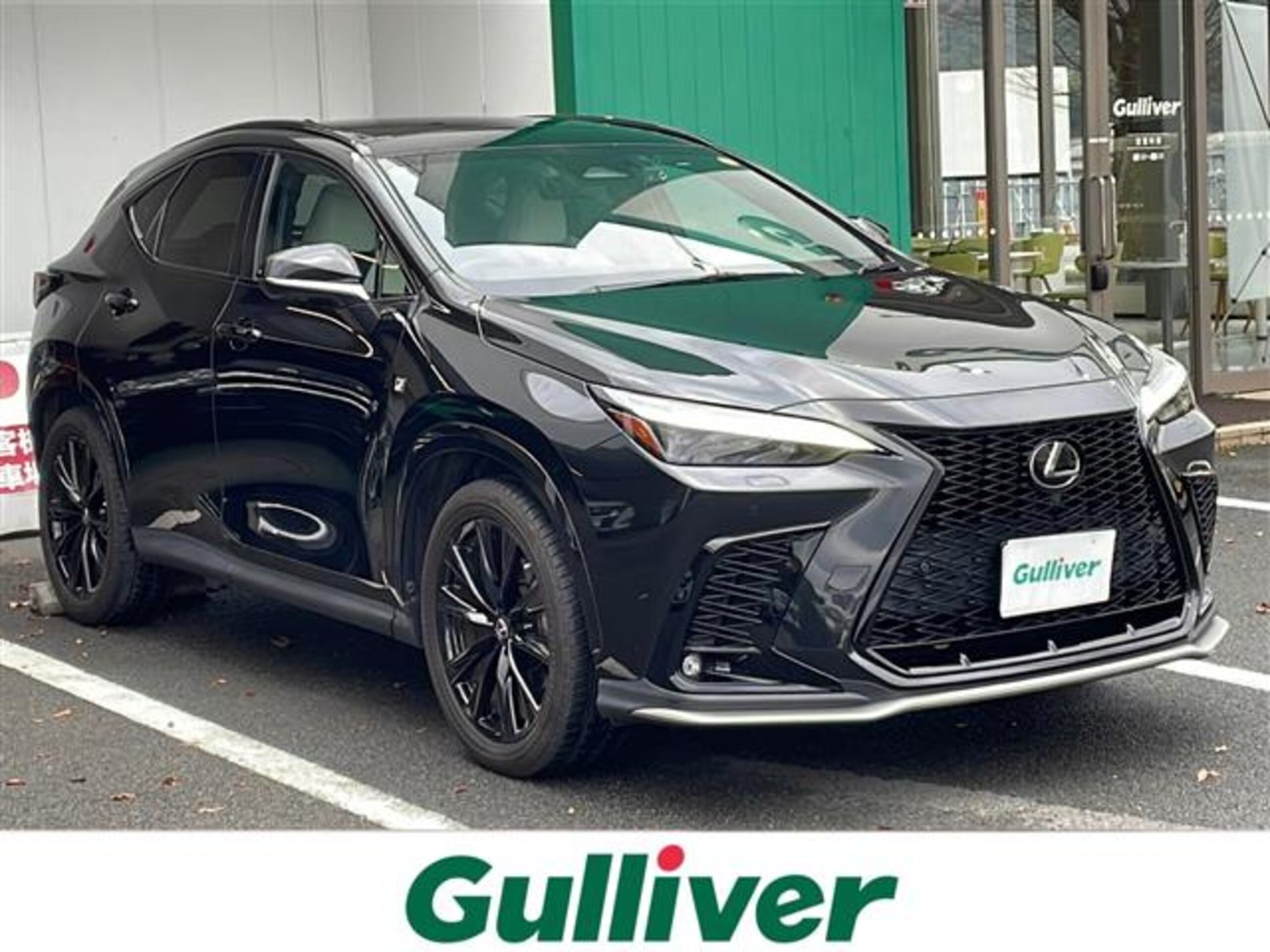 LEXUS NX - View 1