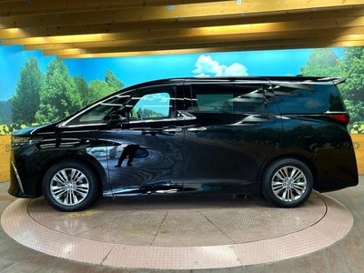 2025 Toyota ALPHARD 缩略图 25