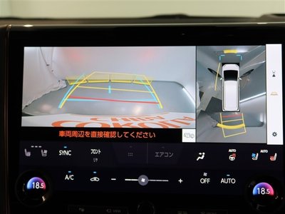 TOYOTA ALPHARD - 10