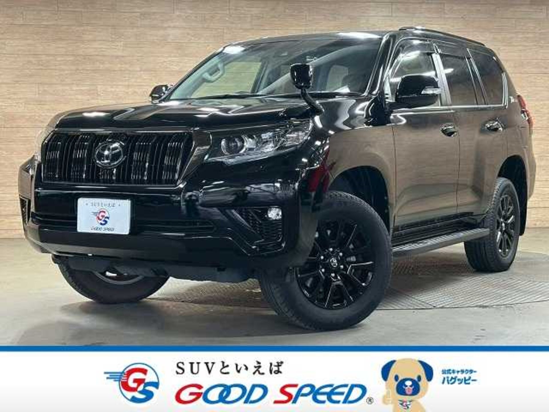 TOYOTA LAND CRUISER PRADO - View 1