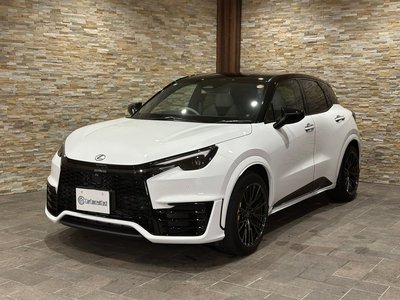 2025 Lexus LBX photo 1