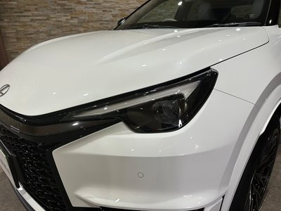2025 Lexus LBX photo 4