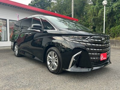 2026 Toyota ALPHARD 照片 22