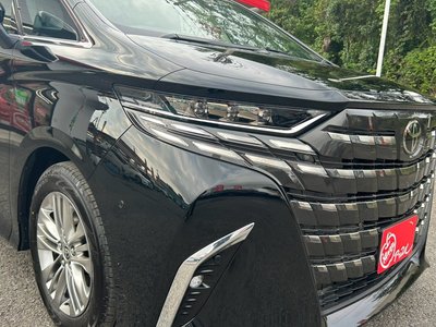 2026 Toyota ALPHARD 照片 29