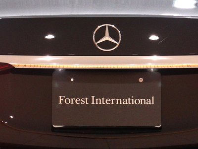 2022 Mercedes-BENZ S-CLASS 缩略图 47
