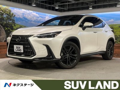 LEXUS NX - 1